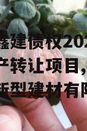 射阳鑫建债权2023年资产转让项目,射阳鑫云新型建材有限公司