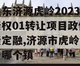 山东济源虎岭2023债权01转让项目政信债定融,济源市虎岭属于哪个镇