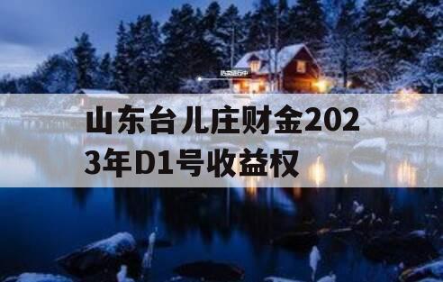 山东台儿庄财金2023年D1号收益权