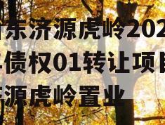 山东济源虎岭2023年债权01转让项目,济源虎岭置业