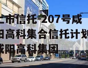 上市信托-207号咸阳高科集合信托计划,咸阳高科集团