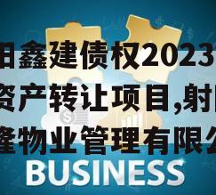 射阳鑫建债权2023年资产转让项目,射阳鑫隆物业管理有限公司