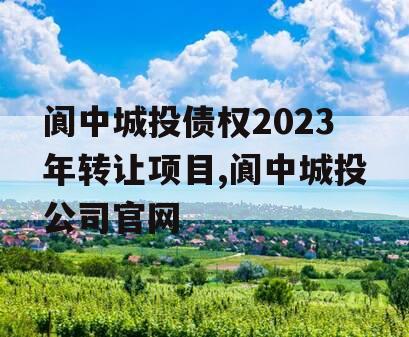 阆中城投债权2023年转让项目,阆中城投公司官网