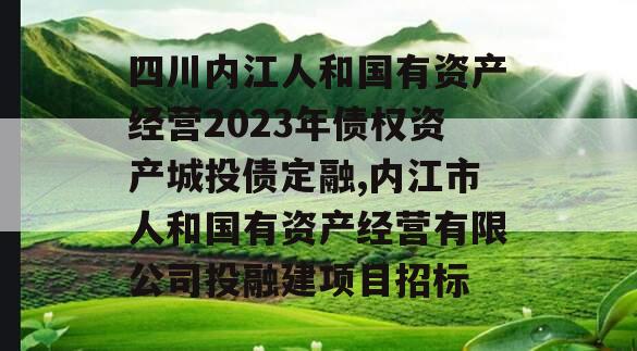 四川内江人和国有资产经营2023年债权资产城投债定融,内江市人和国有资产经营有限公司投融建项目招标