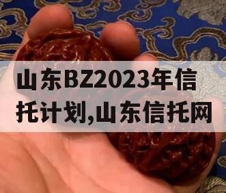 山东BZ2023年信托计划,山东信托网