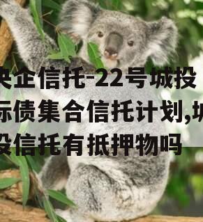 央企信托-22号城投标债集合信托计划,城投信托有抵押物吗