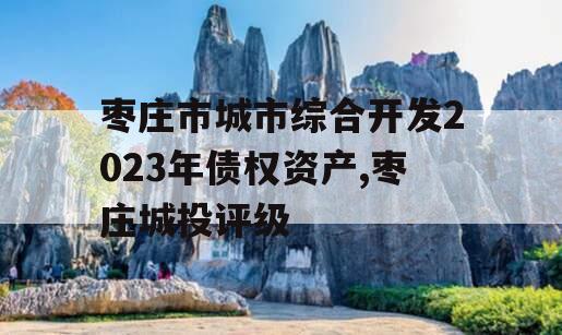 枣庄市城市综合开发2023年债权资产,枣庄城投评级