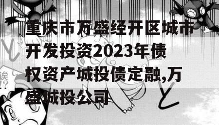 重庆市万盛经开区城市开发投资2023年债权资产城投债定融,万盛城投公司