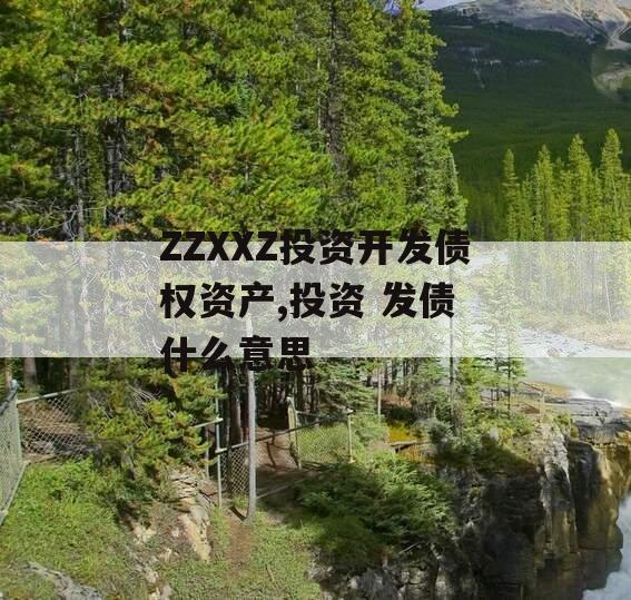 ZZXXZ投资开发债权资产,投资 发债 什么意思