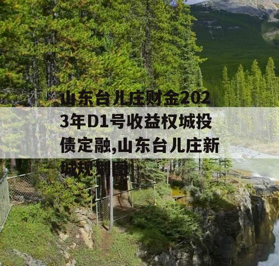 山东台儿庄财金2023年D1号收益权城投债定融,山东台儿庄新城规划图