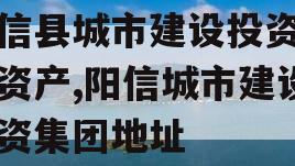 阳信县城市建设投资债权资产,阳信城市建设投资集团地址