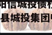 山东阳信城投债权项目,阳信县城投集团归谁管