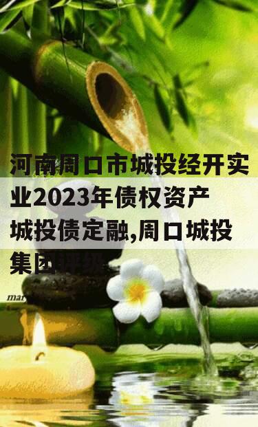 河南周口市城投经开实业2023年债权资产城投债定融,周口城投集团评级