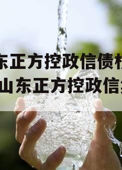 山东正方控政信债权资产,山东正方控政信集团