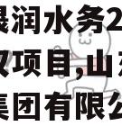 山东晟润水务2023年债权项目,山东晟润水务集团有限公司