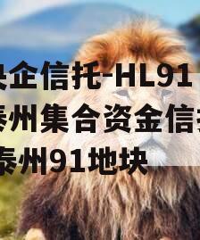 大央企信托-HL91号泰州集合资金信托计划,泰州91地块