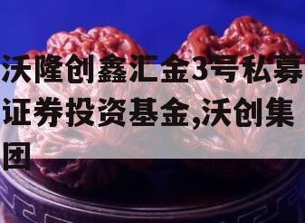 沃隆创鑫汇金3号私募证券投资基金,沃创集团