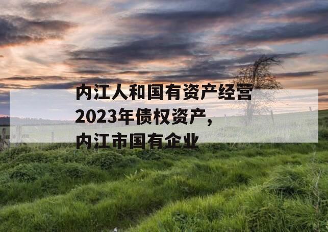 内江人和国有资产经营2023年债权资产,内江市国有企业