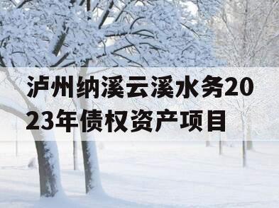 泸州纳溪云溪水务2023年债权资产项目