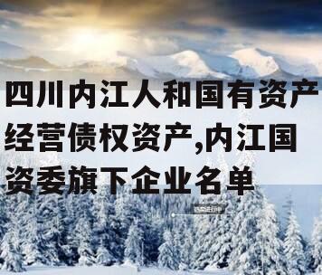 四川内江人和国有资产经营债权资产,内江国资委旗下企业名单