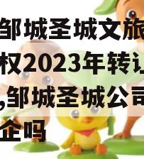 山东邹城圣城文旅信托收益权2023年转让计划,邹城圣城公司属于国企吗