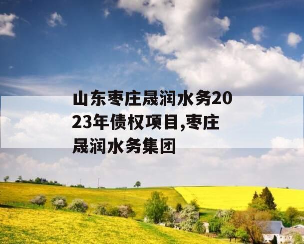 山东枣庄晟润水务2023年债权项目,枣庄晟润水务集团