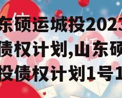 山东硕运城投2023年债权计划,山东硕运城投债权计划1号1期