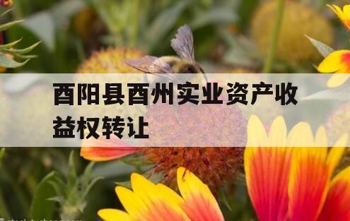 酉阳县酉州实业资产收益权转让