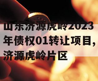 山东济源虎岭2023年债权01转让项目,济源虎岭片区