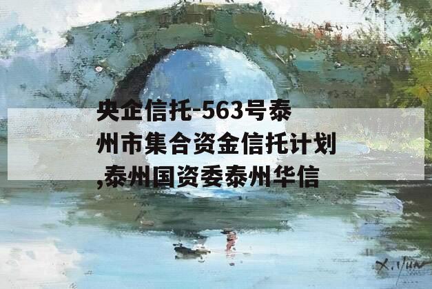 央企信托-563号泰州市集合资金信托计划,泰州国资委泰州华信