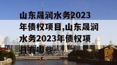 山东晟润水务2023年债权项目,山东晟润水务2023年债权项目有哪些