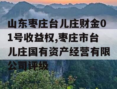 山东枣庄台儿庄财金01号收益权,枣庄市台儿庄国有资产经营有限公司评级