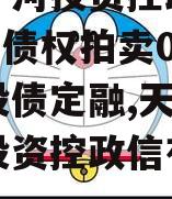 天津宁河投资控政信2023年债权拍卖02号城投债定融,天津市宁河投资控政信有限公司