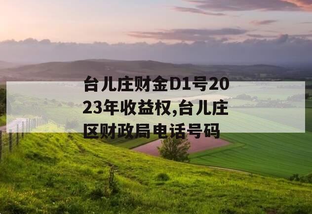 台儿庄财金D1号2023年收益权,台儿庄区财政局电话号码