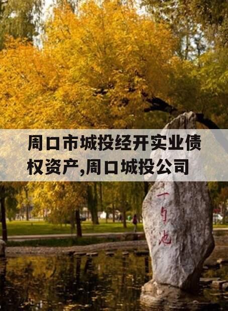 周口市城投经开实业债权资产,周口城投公司