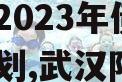 武汉阳逻经济开发区建设开发2023年债权转让计划,武汉阳逻开发区发展前景