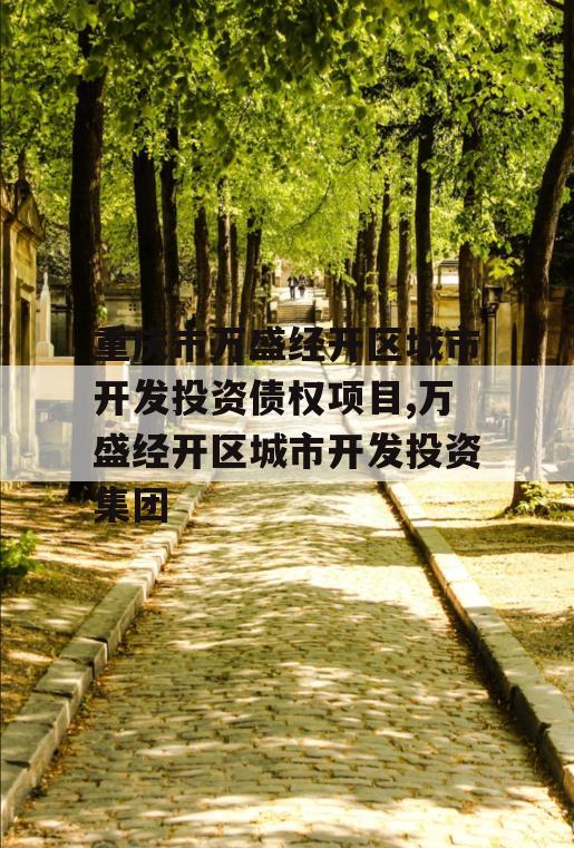 重庆市万盛经开区城市开发投资债权项目,万盛经开区城市开发投资集团