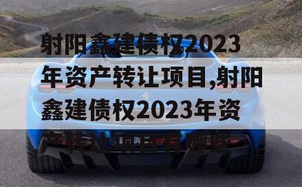 射阳鑫建债权2023年资产转让项目,射阳鑫建债权2023年资产转让项目有哪些