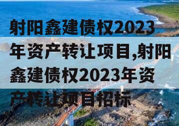 射阳鑫建债权2023年资产转让项目,射阳鑫建债权2023年资产转让项目招标