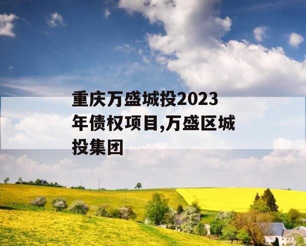 重庆万盛城投2023年债权项目,万盛区城投集团