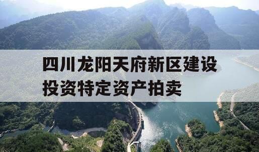 四川龙阳天府新区建设投资特定资产拍卖