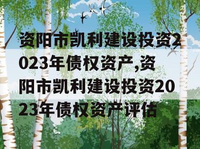 资阳市凯利建设投资2023年债权资产,资阳市凯利建设投资2023年债权资产评估