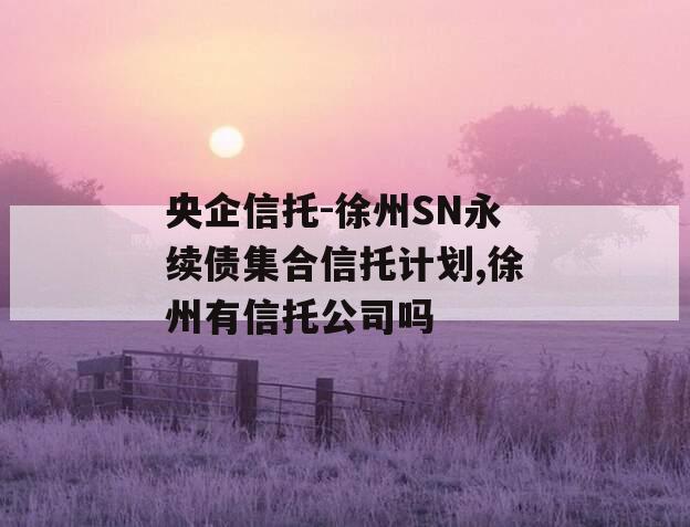 央企信托-徐州SN永续债集合信托计划,徐州有信托公司吗