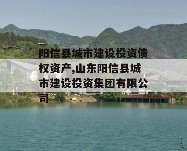 阳信县城市建设投资债权资产,山东阳信县城市建设投资集团有限公司