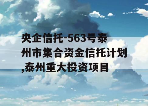 央企信托-563号泰州市集合资金信托计划,泰州重大投资项目