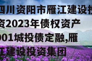 四川资阳市雁江建设投资2023年债权资产001城投债定融,雁江建设投资集团