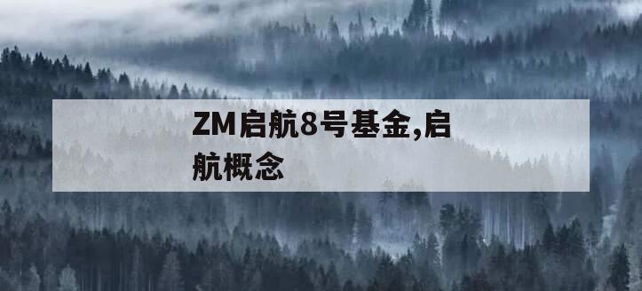 ZM启航8号基金,启航概念