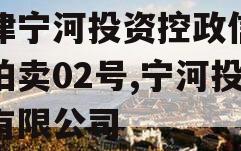 天津宁河投资控政信债权拍卖02号,宁河投资有限公司