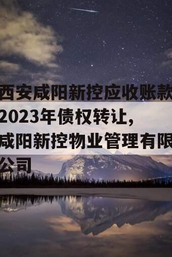 西安咸阳新控应收账款2023年债权转让,咸阳新控物业管理有限公司