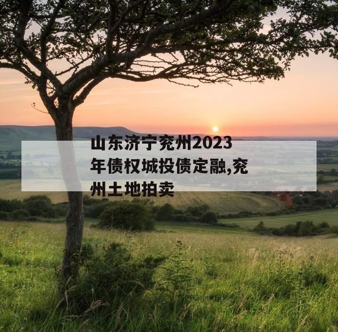 山东济宁兖州2023年债权城投债定融,兖州土地拍卖